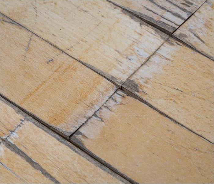 a zoomed in view of a wooden floor showing signs of water damage