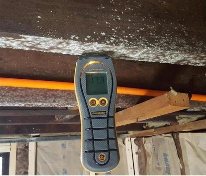 Mold Protimeter in a moldy beam.